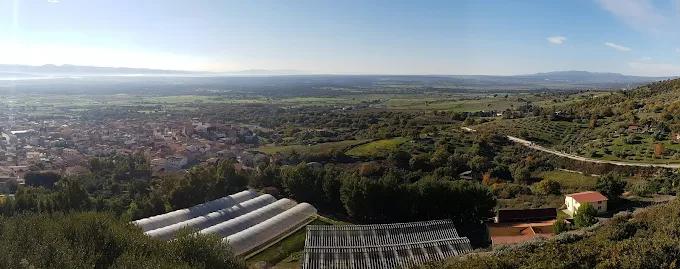 immagine aerea dell'azienda