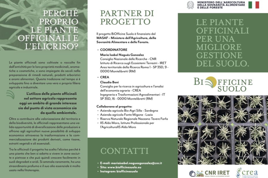 brochure del progetto