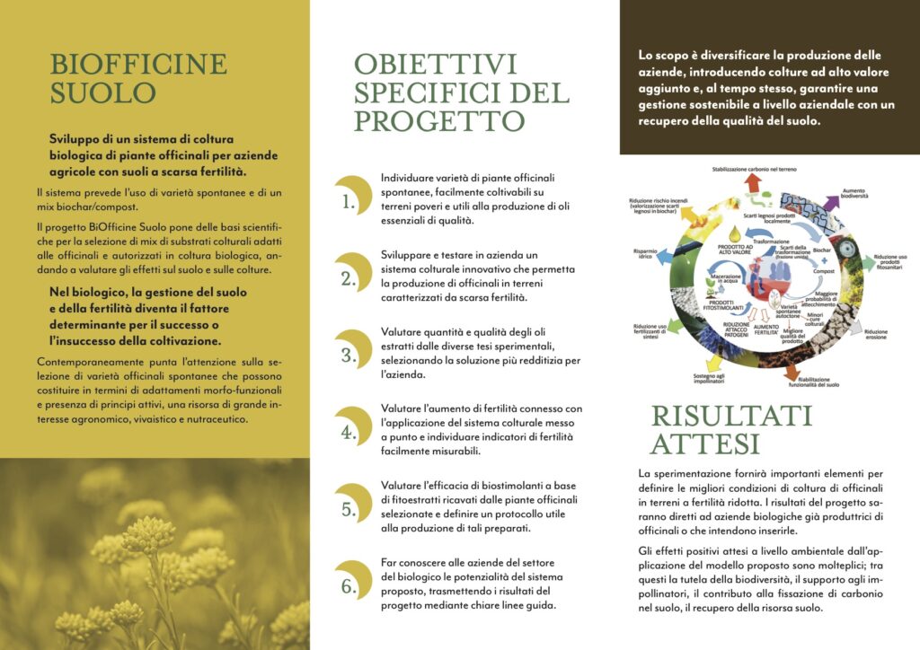 brochure del progetto, retro.