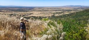 Campo sperimentale pronto in Sardegna