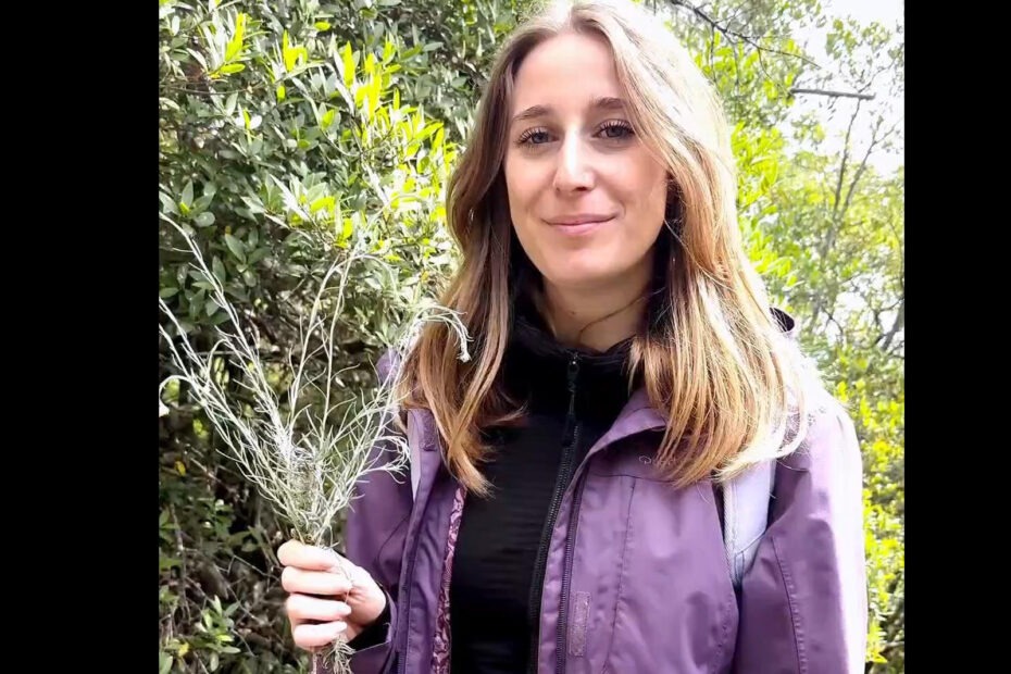 ricercatrice con in mano una pianta di elicriso