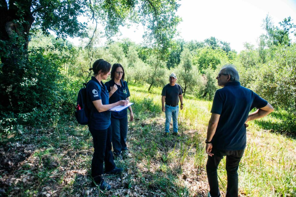ricercatori che parlano nel campo