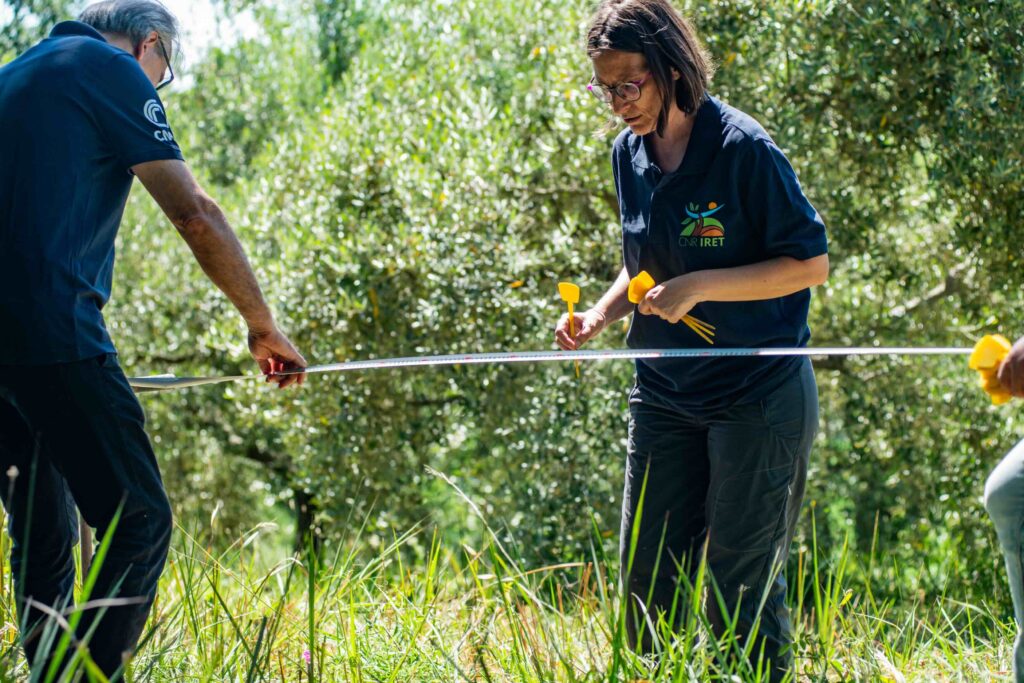 ricercatori con fettuccia per misurazione campo