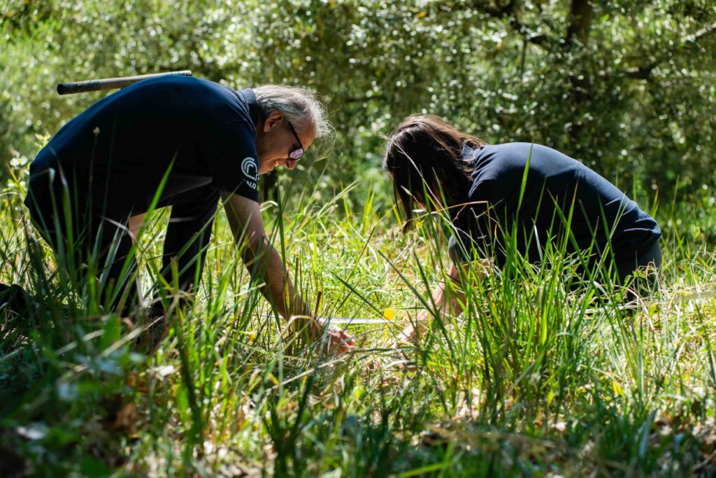 ricercatori con fettuccia per misurazione campo