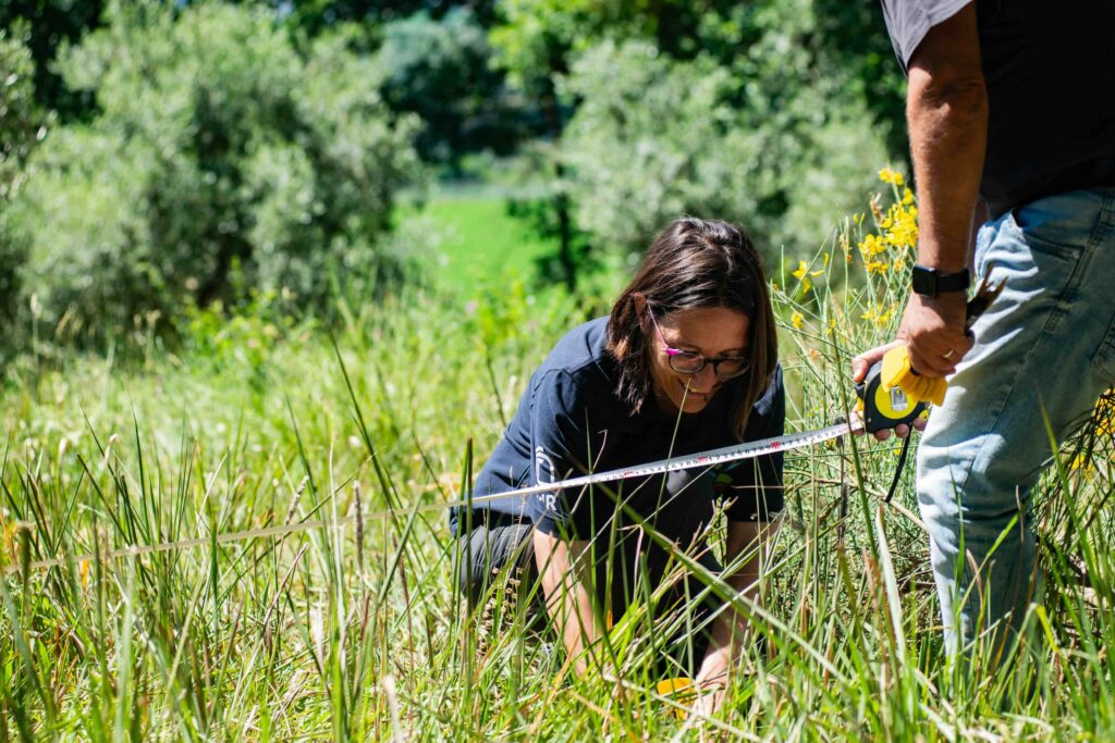 ricercatori con fettuccia per misurazione campo