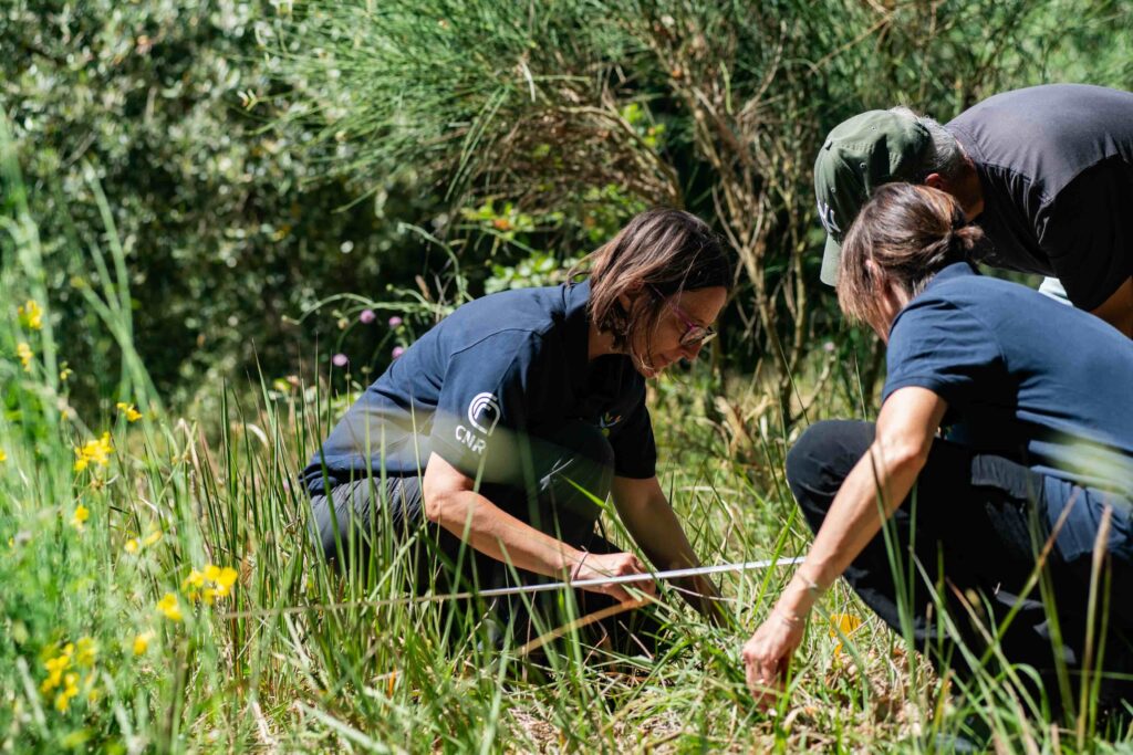 ricercatori con fettuccia per misurazione campo